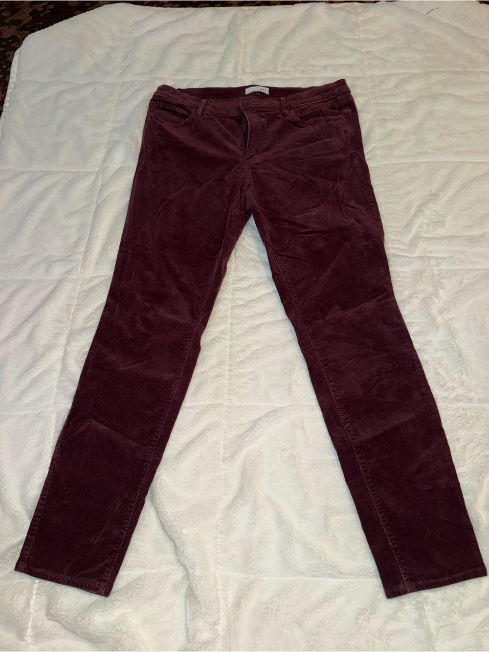 LOFT Skinny Pants in Deep Burgundy